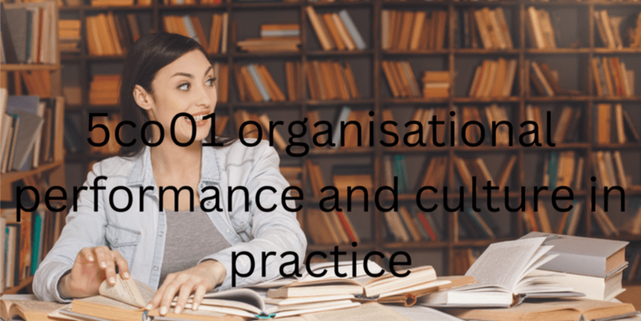 5co01 organisational performance and culture in practice